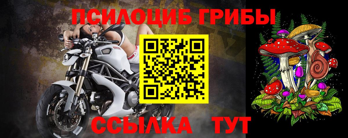 Галлюциногенные грибы Psilocybe  Вход с VPN  Оренбург 